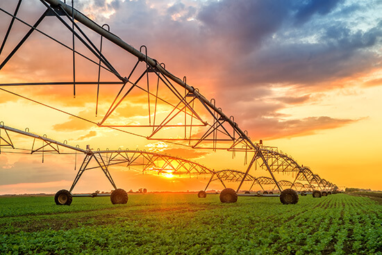 Agriculture - Industrial sprinkler system watering crops